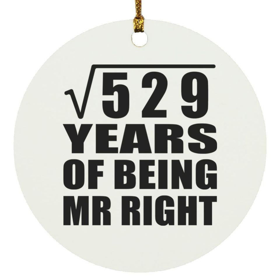23rd Anniversary Square Root of 529 Years of Being Mr Right - Circle Ornament