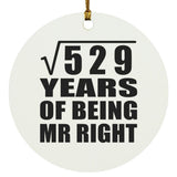 23rd Anniversary Square Root of 529 Years of Being Mr Right - Circle Ornament