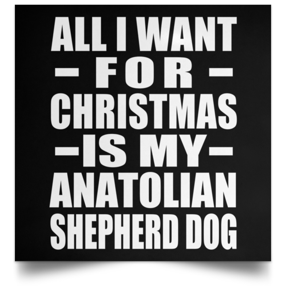All I Want For Christmas Is My Anatolian Shepherd Dog - Poster Square