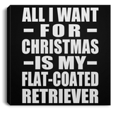 All I Want For Christmas Is My Flat-Coated Retriever - Canvas Square