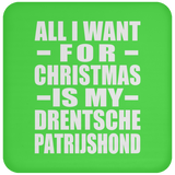 All I Want For Christmas Is My Drentsche Patrijshond - Coaster