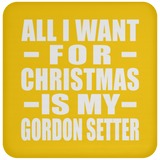 All I Want For Christmas Is My Gordon Setter - Coaster