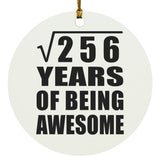 16th Birthday Square Root of 256 Years of Being Awesome - Circle Ornament