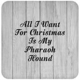 All I Want For Christmas Is My Pharaoh Hound - Drink Coaster F
