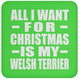All I Want For Christmas Is My Welsh Terrier - Coaster