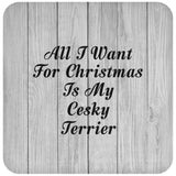 All I Want For Christmas Is My Cesky Terrier - Drink Coaster F