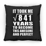 29th Birthday Took Square Root of 841 Years To Awesome - Throw Pillow Black