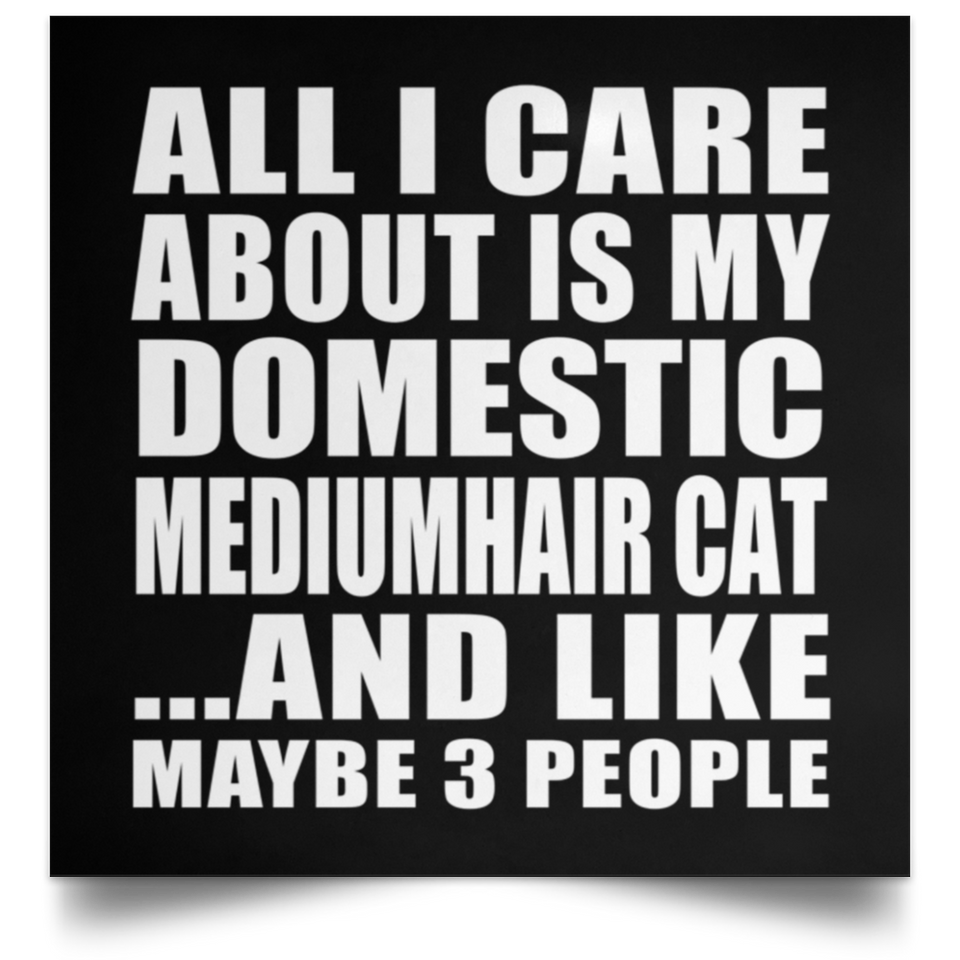All I Care About Is My Domestic Mediumhair Cat - Poster Square