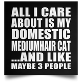 All I Care About Is My Domestic Mediumhair Cat - Poster Square