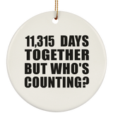 31st Anniversary 11,315 Days Together But Who's Counting - Circle Ornament