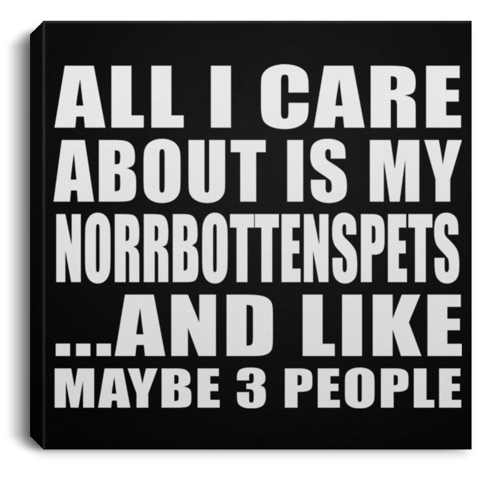 All I Care About Is My Norrbottenspets - Canvas Square