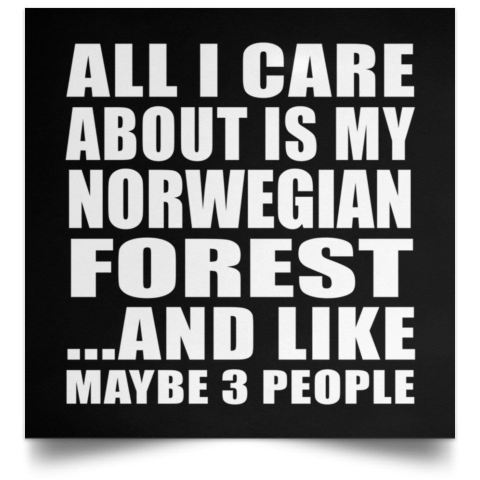 All I Care About Is My Norwegian Forest - Poster Square