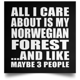 All I Care About Is My Norwegian Forest - Poster Square