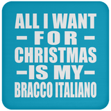 All I Want For Christmas Is My Bracco Italiano - Coaster