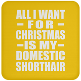 All I Want For Christmas Is My Domestic Shorthair - Coaster