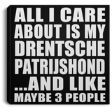 All I Care About Is My Drentsche Patrijshond - Canvas Square