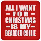 All I Want For Christmas Is My Bearded Collie - Coaster
