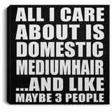 All I Care About Is Domestic Mediumhair - Canvas Square