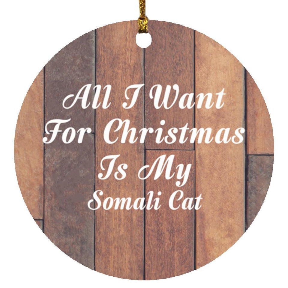All I Want For Christmas Is My Somali Cat - Circle Ornament E