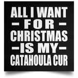 All I Want For Christmas Is My Catahoula Cur - Poster Square