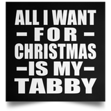 All I Want For Christmas Is My Tabby - Poster Square