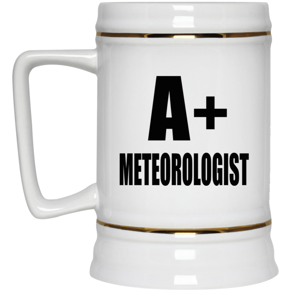 A+ Meteorologist - Beer Stein