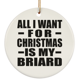 All I Want For Christmas Is My Briard - Circle Ornament