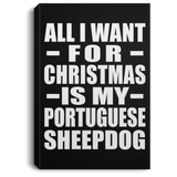 All I Want For Christmas Is My Portuguese Sheepdog - Canvas Portrait
