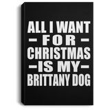 All I Want For Christmas Is My Brittany Dog - Canvas Portrait