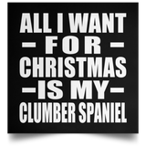 All I Want For Christmas Is My Clumber Spaniel - Poster Square