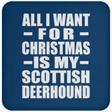 All I Want For Christmas Is My Scottish Deerhound - Coaster