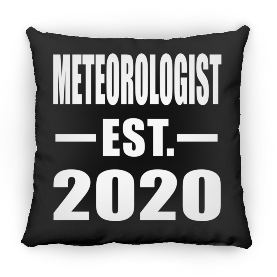 Meteorologist Established EST. 2020 - Throw Pillow Black