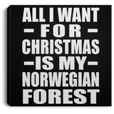 All I Want For Christmas Is My Norwegian Forest - Canvas Square