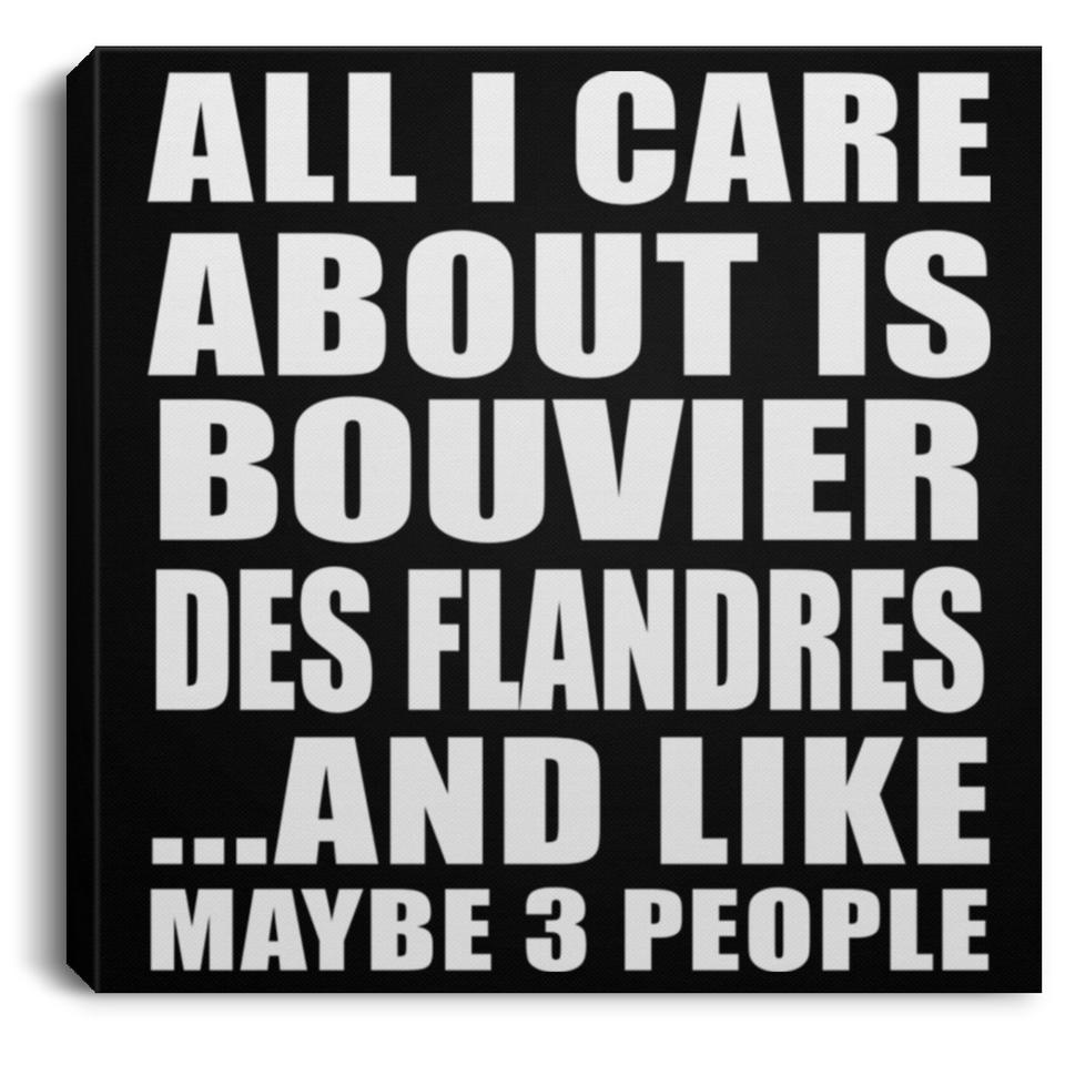 All I Care About Is Bouvier Des Flandres - Canvas Square