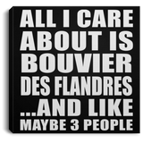 All I Care About Is Bouvier Des Flandres - Canvas Square
