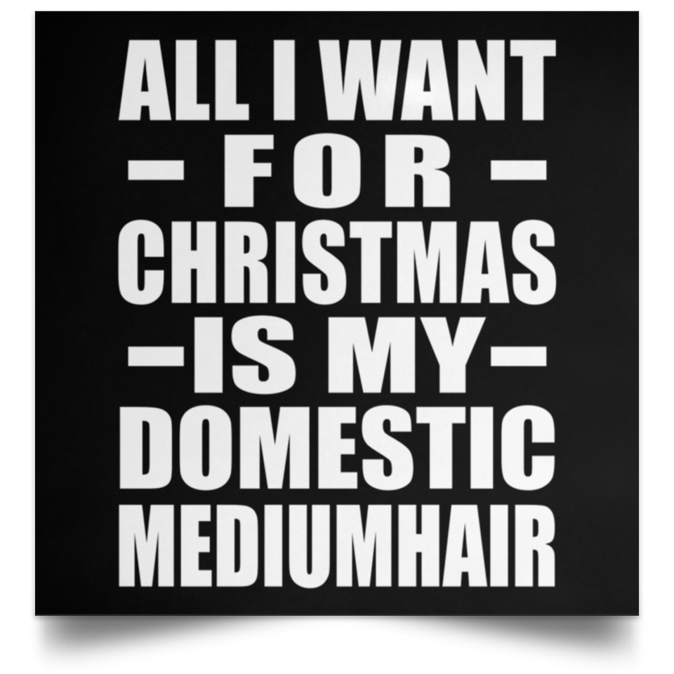 All I Want For Christmas Is My Domestic Mediumhair - Poster Square