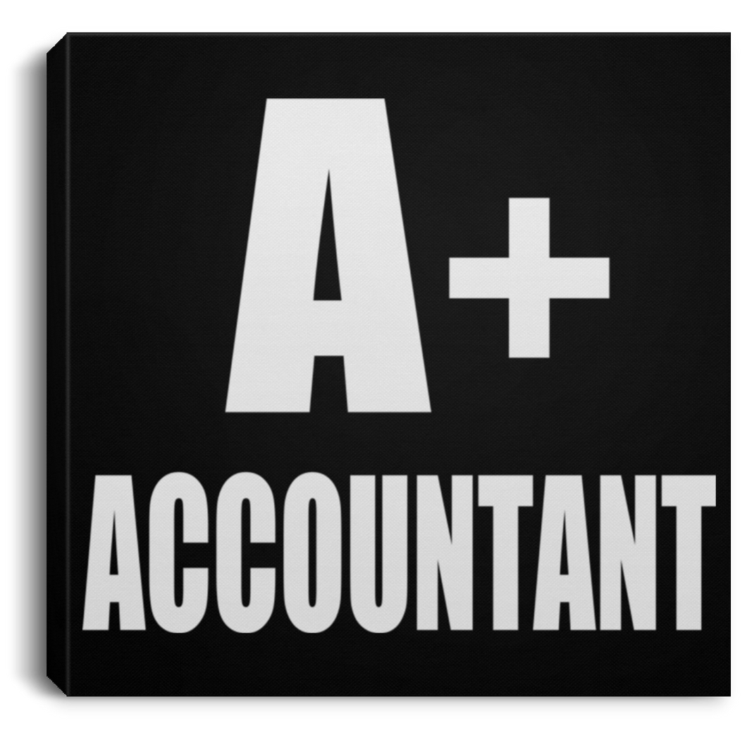 A+ Accountant - Canvas Square