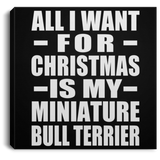 All I Want For Christmas Is My Miniature Bull Terrier - Canvas Square