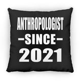 Anthropologist Since 2021 - Throw Pillow Black