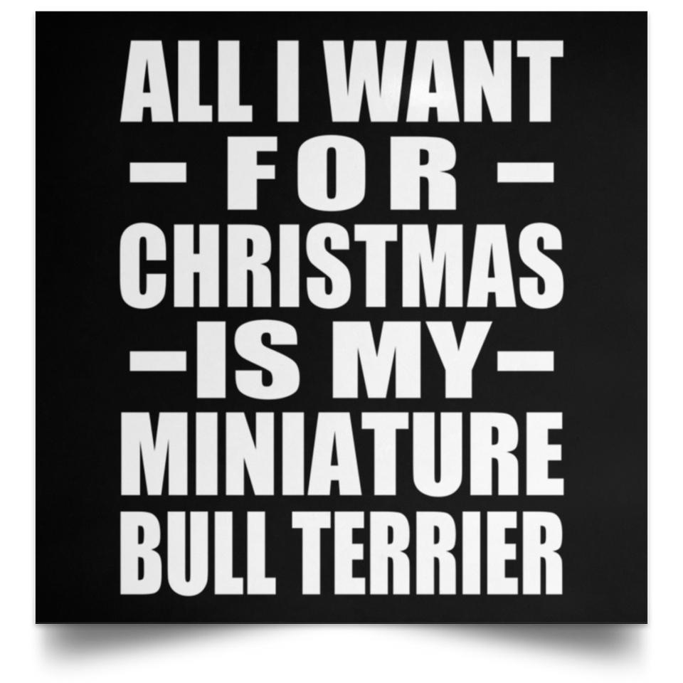 All I Want For Christmas Is My Miniature Bull Terrier - Poster Square