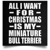 All I Want For Christmas Is My Miniature Bull Terrier - Poster Square