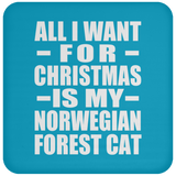All I Want For Christmas Is My Norwegian Forest Cat - Coaster