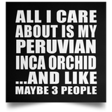 All I Care About Is My Peruvian Inca Orchid - Poster Square