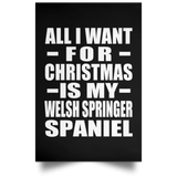All I Want For Christmas Is My Welsh Springer Spaniel - Poster Portrait