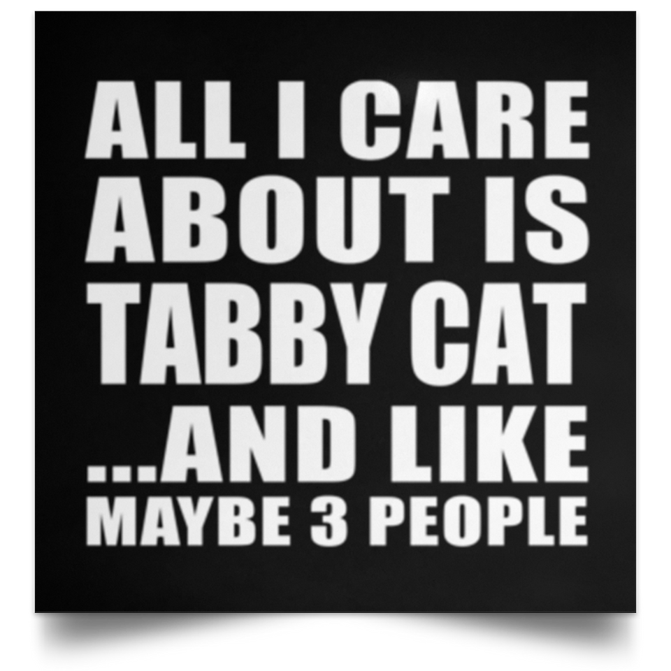 All I Care About Is Tabby Cat - Poster Square