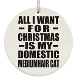 All I Want For Christmas Is My Domestic Mediumhair Cat - Circle Ornament