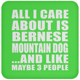 All I Care About Is Bernese Mountain Dog - Drink Coaster