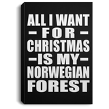 All I Want For Christmas Is My Norwegian Forest - Canvas Portrait
