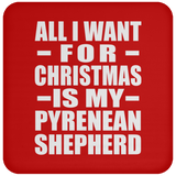 All I Want For Christmas Is My Pyrenean Shepherd - Coaster