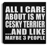 All I Care About Is My Cesky Terrier - Canvas Square
